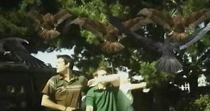 Birdemic-The most epic scene ever filmed