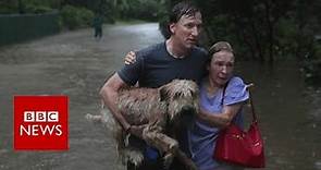 Hurricane Harvey: The story so far - BBC News