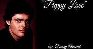 Puppy Love (w/lyrics) ~ Donny Osmond