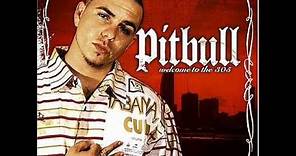 Pitbull Welcome to The 305 (Full Album)