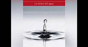 La forma del agua. Andrea Camilleri. Resumen y reseña