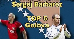 TOP 5 Golova | Sergej Barbarez | 1#