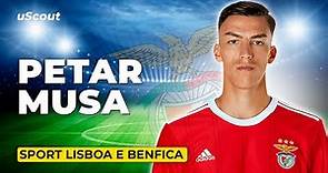How Good Is Petar Musa at Sport Lisboa e Benfica?