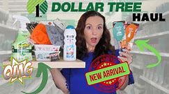 DOLLAR TREE HAUL YOU’RE GOING TO BE SHOCKED