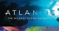 Atlantic: The Wildest Ocean on Earth - streaming
