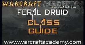 5.4 Feral Druid DPS Guide - Warcraft Academy