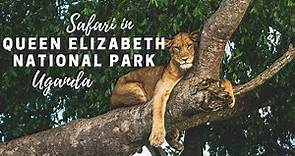 Safari in Queen Elizabeth National Park, Uganda