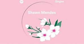 Shawn Mendes - Lost In Japan (Spotify Singles)