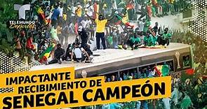 Senegal: Impactantes imágenes del recibimiento del campeón | Telemundo Deportes