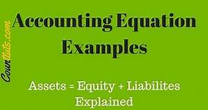 Accounting Equation | Explained with Examples | Accounting Basics
