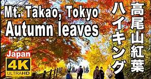 🇯🇵 4K 2021紅葉の秋の高尾山 TOKYO Autumn leaves of Mt. Takao 紅葉ハイキング 高尾山観光 旅行 Michelin Guides 東京観光 日本の紅葉 名所