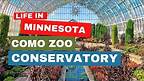 Things To Do in The Twin Cities: The Como Zoo & Conservatory in Saint Paul, MN!