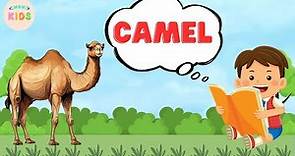 Camel Facts For Kids 🐪 Learn All About Camels | MON Kids