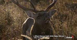 'When Nature Calls with Helen Mirren' Teaser