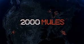 2000 mules movie free online on youtube - watch now full video documentary