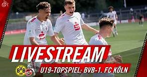 LIVE: Borussia Dortmund - 1. FC Köln | U19 Bundesliga West