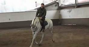 Francesco Vedani Equitazione - Cavallo con bocca difficile parte 1 (rollkur)