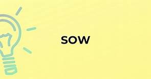 What is the meaning of the word SOW?