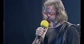 I Nomadi - UN FIGLIO DEI FIORI NON PENSA AL DOMANI (Live Performance) Casalromano (MN) 1989.