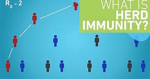 What is Herd Immunity?