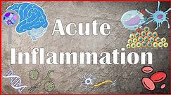 Acute Inflammation - Definition, Pathogenesis, Causes, Mediators, Morphology, Exudate and Transudate