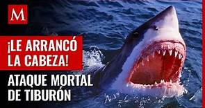 Tiburón blanco arranca la cabeza a hombre que buceaba en bahía de Tobari, Sonora