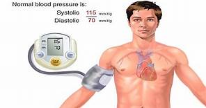 How Blood Pressure Works Animation - Understanding Blood Pressure Measurement Monitor Readings Video