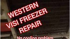 Western freezer repair and service || Western deep freezer, Visi freezer || #refrigeration #hvac | Mother Refrigeration & Airconditioning ludhiana