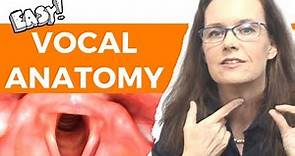 Vocal Anatomy for Voice Users: Laryngeal Anatomy