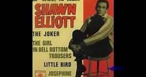 Shawn Elliott - The Joker - 1964