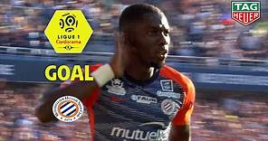 Goal Ambroise OYONGO (28') / Montpellier Hérault SC - Nîmes Olympique (3-0) (MHSC-NIMES) / 2018-19