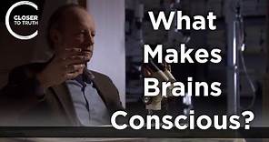 Joseph LeDoux - What Makes Brains Conscious?