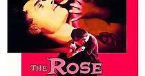 La rosa tatuada - película: Ver online en español