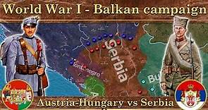 World War I - Balkan campaign. ⚔️ Austria-Hungary vs Serbia