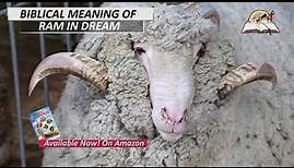 Biblical Meaning of RAM in Dreams - Rams Attacking Spiritual Meaning