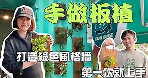 【上板植物】手作植板DIY ┃上板植物打造屬於自己的綠色風格牆