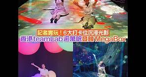 香港teamLab登陸MegaBox！記者實玩6大打卡位沉浸光影 附購票連結