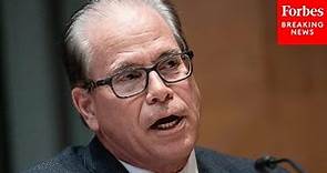 Mike Braun Asks Witness: Can US Ever Get Back To Pre-Covid Spending Levels?