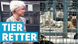 Unterwegs mit der Tierrettung: Tatjana Gessler hilft Tieren in Not