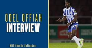 Brighton's Odel Offiah on New Contract and Playing Under Graham Potter | BHA Today Exclusive