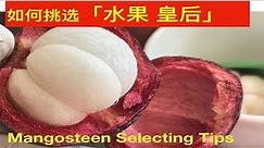 一步一步的教你如何挑选，新鲜又好吃的山竹。 How to pick, fresh and delicious mangosteen DIY