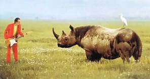 Adrian Belew - Lone Rhinoceros