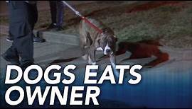 Family members find dogs eating owner's body inside Philadelphia home