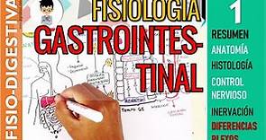 FISIOLOGIA GASTROINTESTINAL - RESUMEN, Estructura, Control Nervioso, SN ENTERICO |Sistema Digestivo1