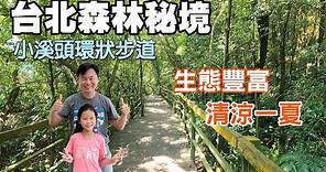 【台北森林秘境 | 小溪頭環狀步道】享受森林浴不用去溪頭，漫步在清幽涼爽的山林中，生態豐富，適合親子同遊！ | 士林景點、台北景點、內湖景點