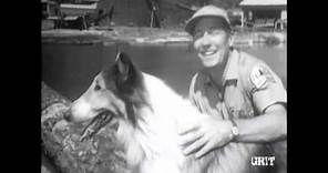 Lassie - Episode #357 - "Climb the Mountain Slowly" - Season 11, Ep 5 - 10/04/1964