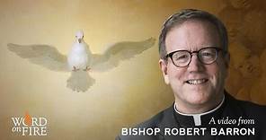 Bishop Barron on the Sacrament of Confirmation