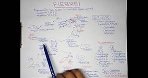 FIEBRE: Fisiopatología