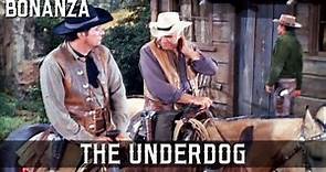 Bonanza - The Underdog | Episode 180 | Classic Western | TV Series ...