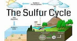 Sulfur Cycle